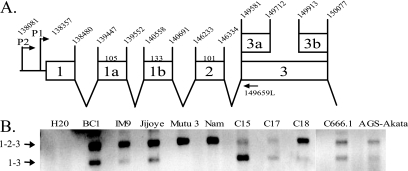 FIG. 5.