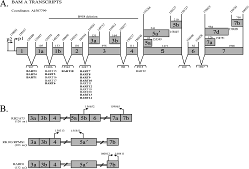 FIG. 2.