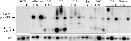 FIG. 8.