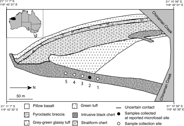 FIG. 1.