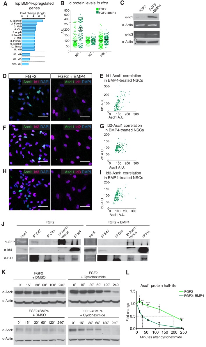 Figure 3—figure supplement 1.