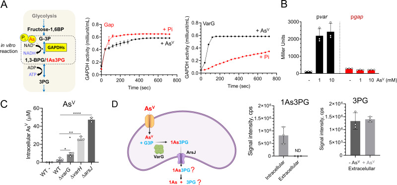 FIG 4