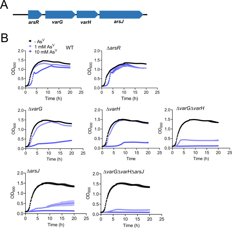 FIG 3