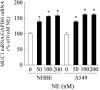 <b>Figure 1.</b>