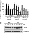 <b>Figure 4.</b>