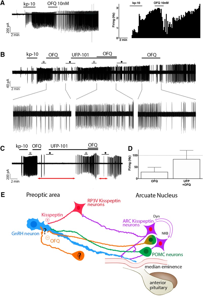 Figure 12.