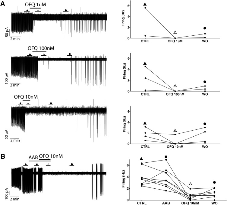 Figure 11.