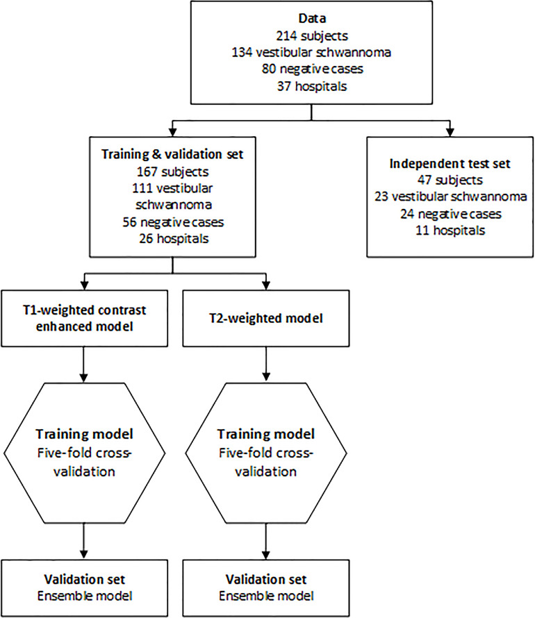 Flowchart of data. Patients were randomly assigned to the training and validation set (80%) and the independent test set (20%). Positive cases were randomly assigned on the basis of the hospital where the scan was acquired, so the independent test set contained data of 11 hospitals that were not used to train the algorithm. For training and validation, fivefold cross-validation was used. The mean of the five models is the ensemble model. This ensemble model was evaluated in the independent test set.