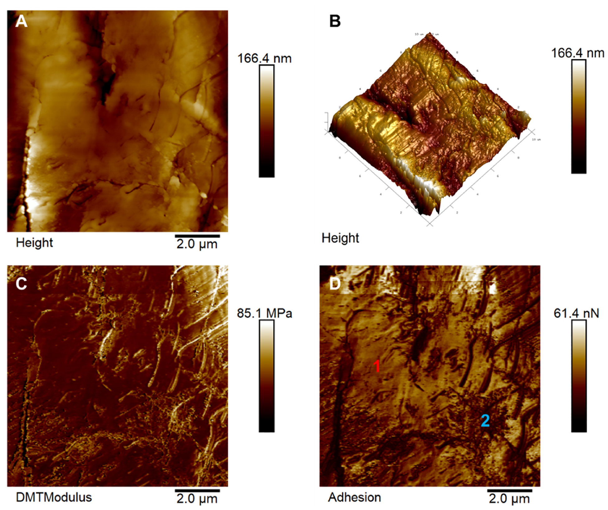 Fig. 4.