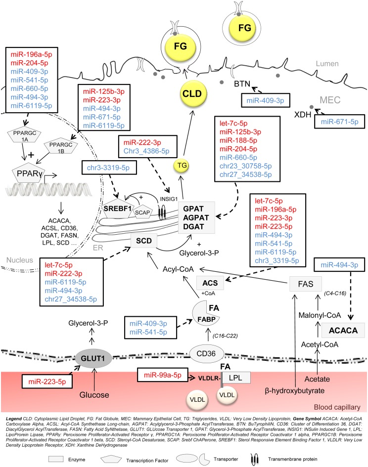 Fig 3