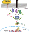 Graphical Abstract