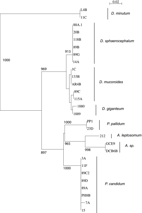 FIG. 1.