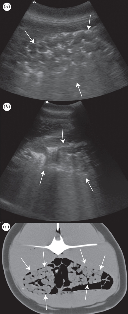 Figure 1.