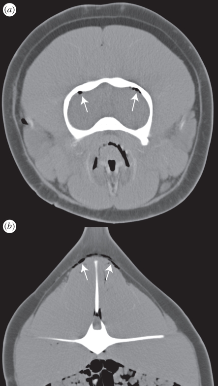 Figure 2.