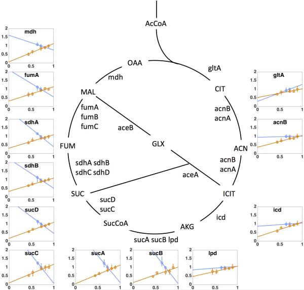 Extended Data Figure 7