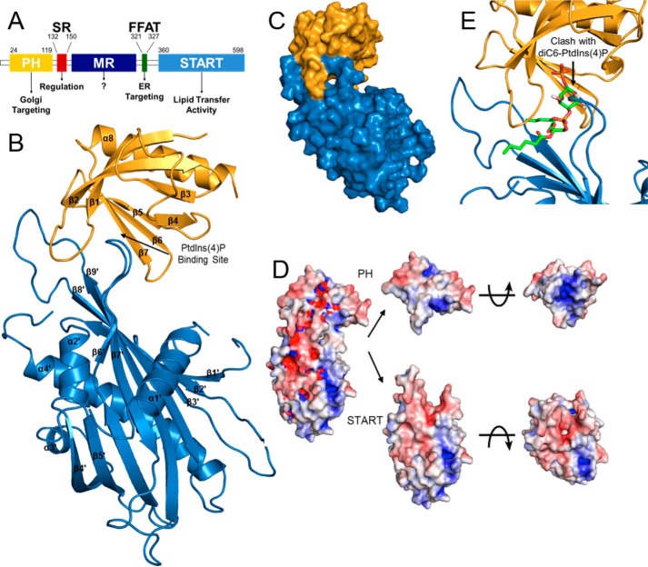 Figure 1.