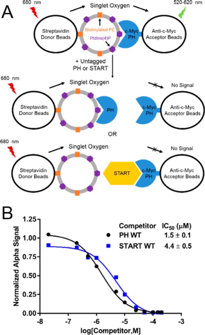 Figure 5.