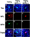 Fig. 4.