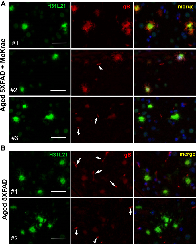 Figure 6