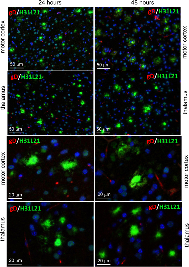 Figure 10