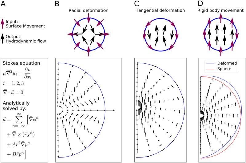 Fig 4