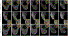 Fig. 7.