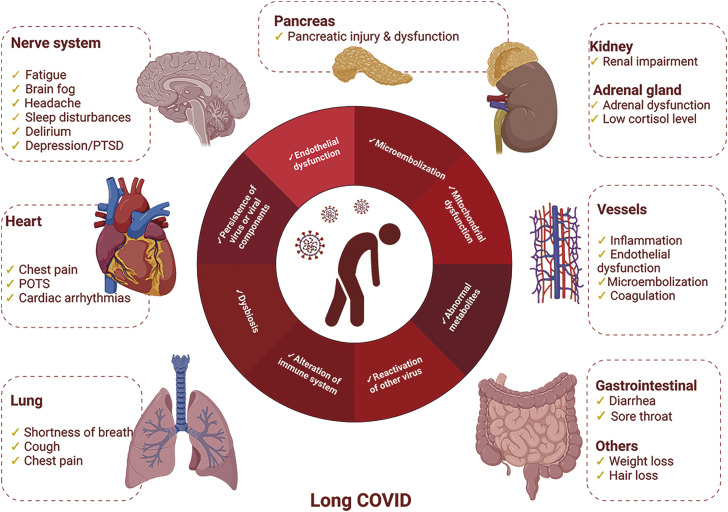 Fig 2: