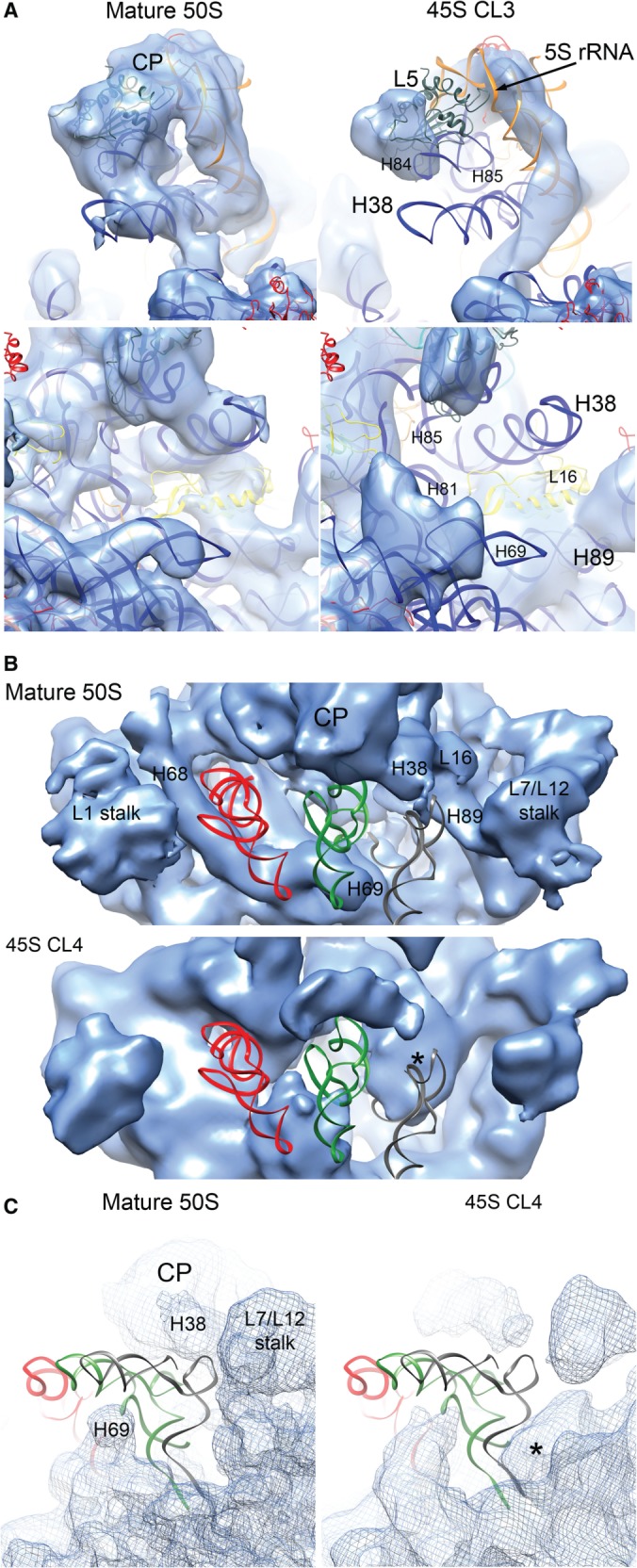 Figure 5.