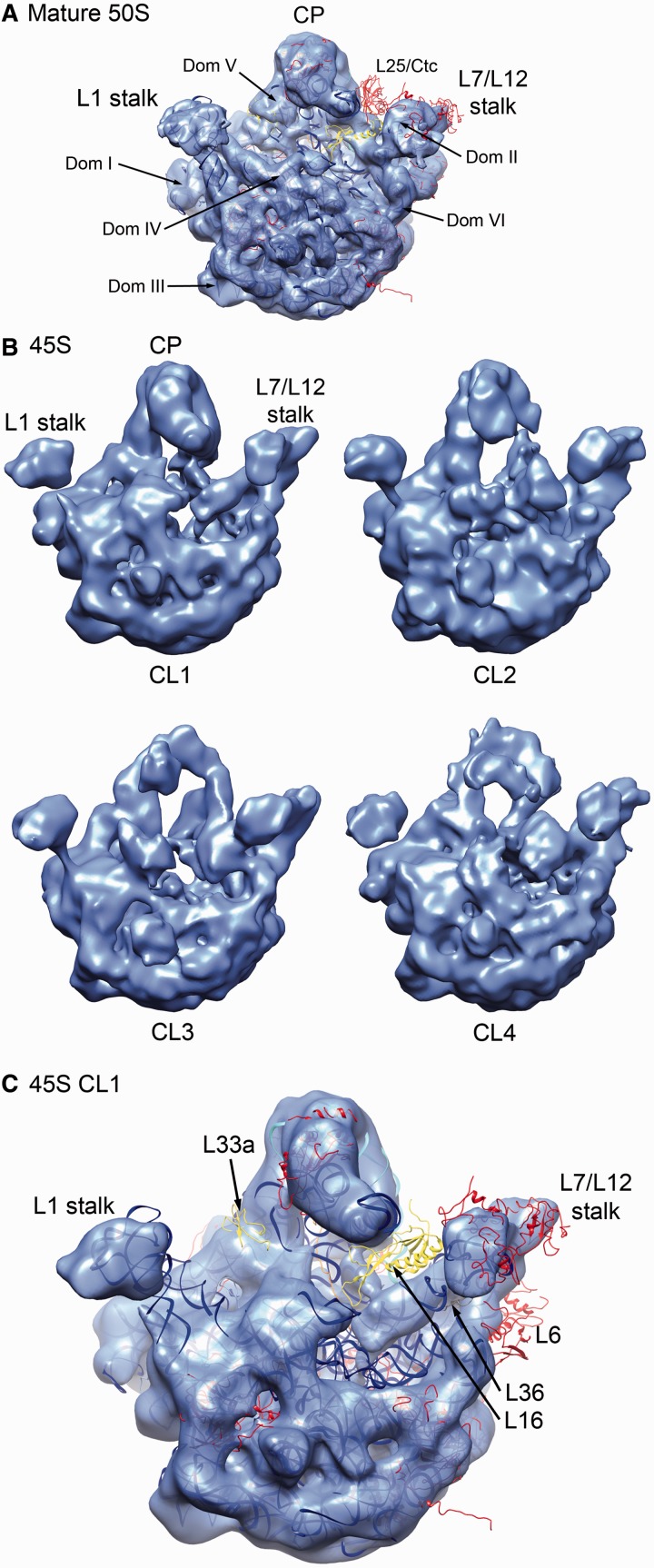 Figure 3.