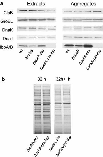 Fig. 6