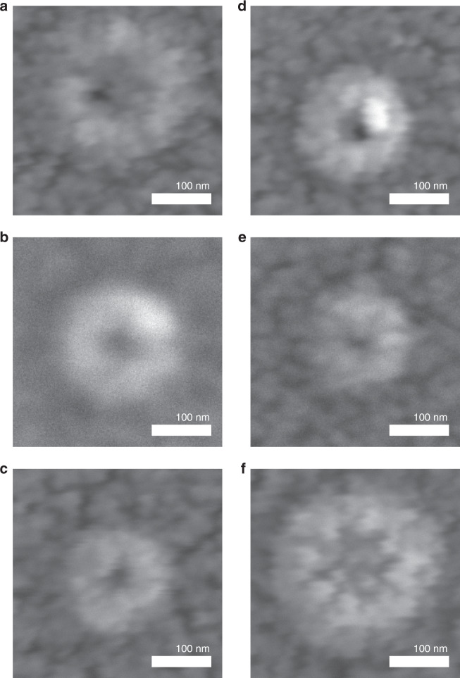 Fig. 2