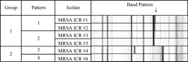 FIG 1