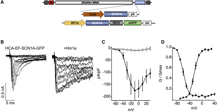 Figure 2