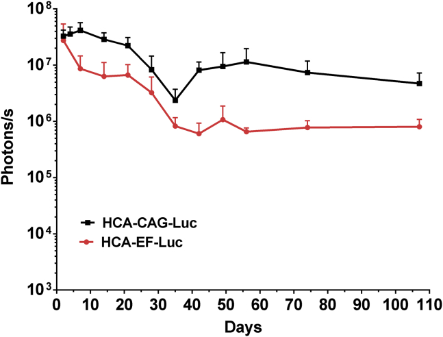 Figure 4