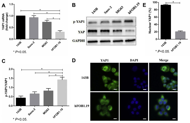 Figure 3