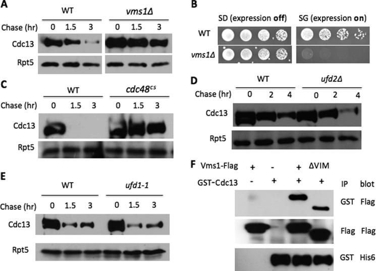 FIGURE 3.