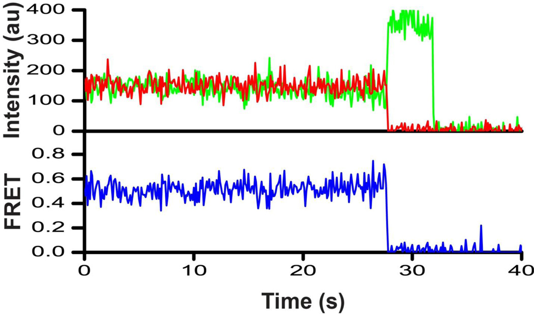 FIGURE 4