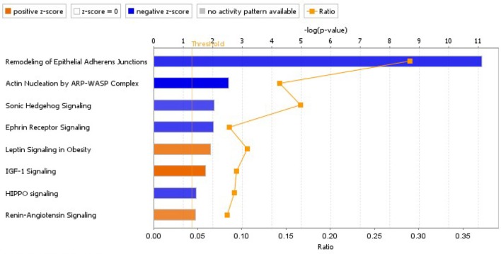 Figure 9