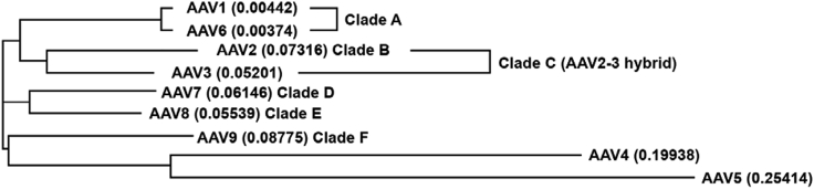 Figure 2