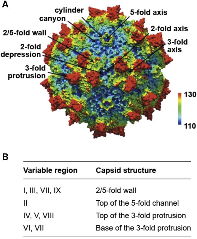 Figure 1