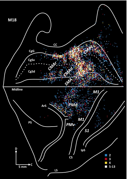 Fig. 4.