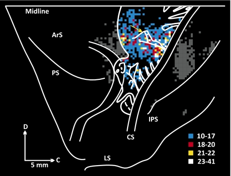 Fig. 6.