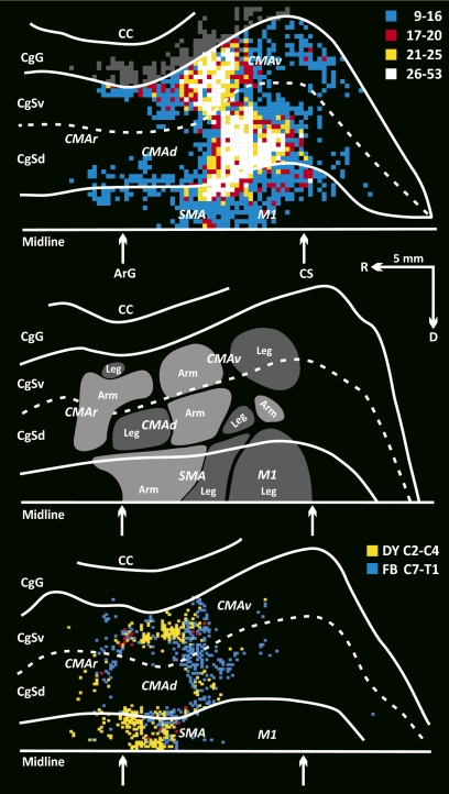 Fig. 7.