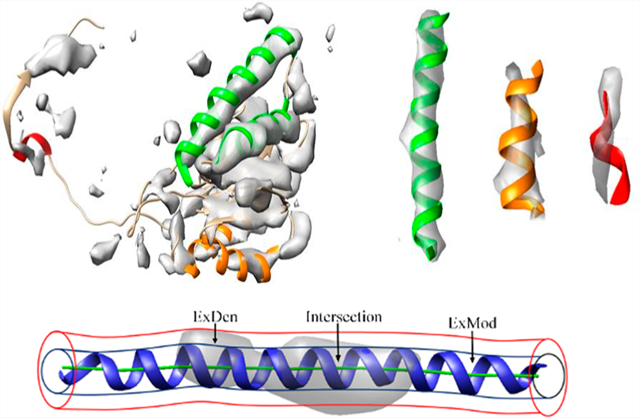 graphic file with name nihms-1662195-f0001.jpg