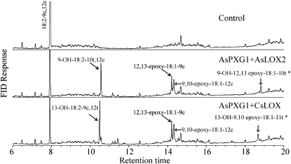 Figure 5.