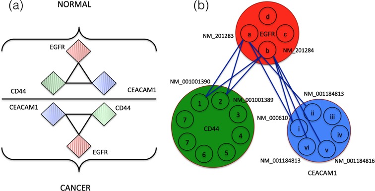 Figure 5.