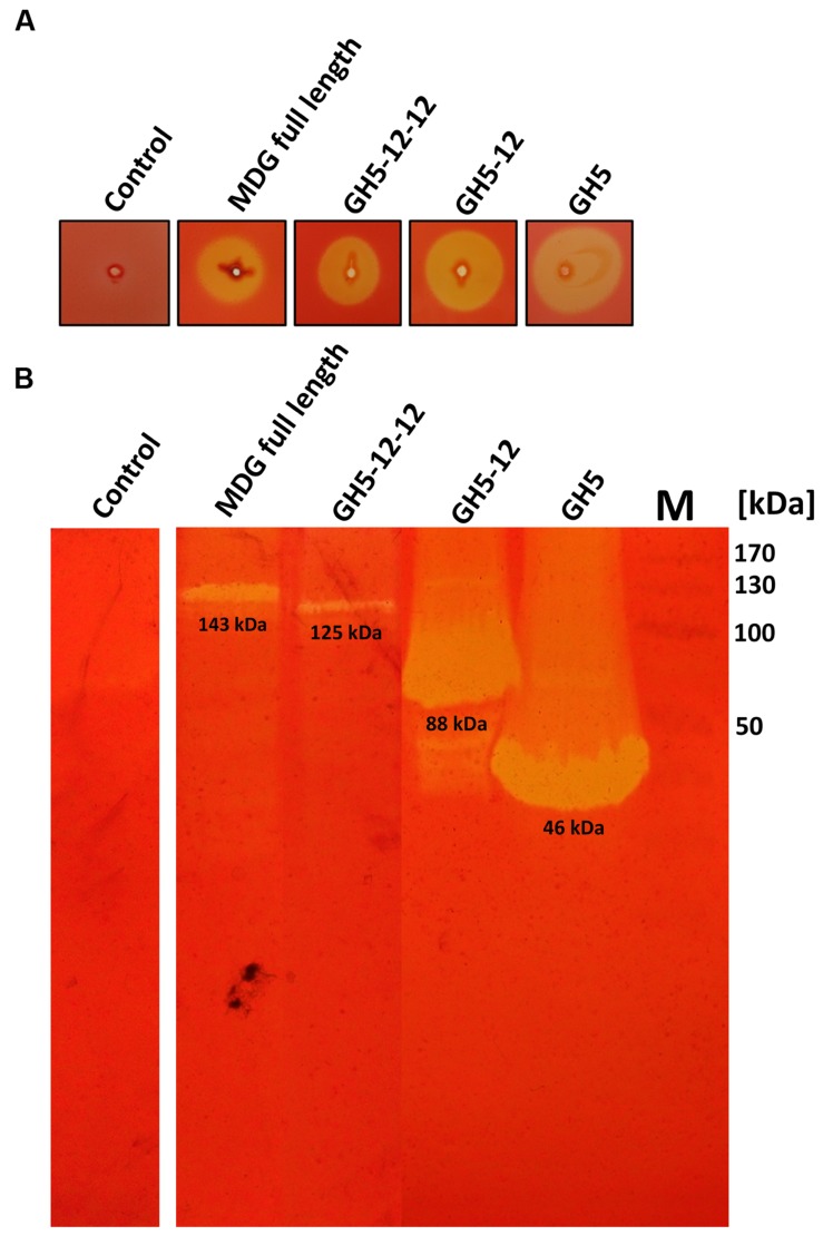 FIGURE 3