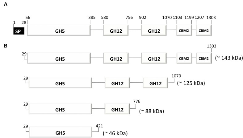 FIGURE 1