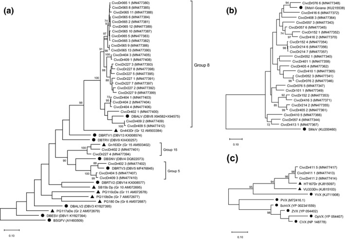 FIGURE 4