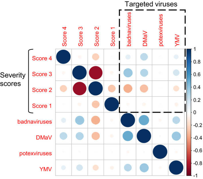 FIGURE 3